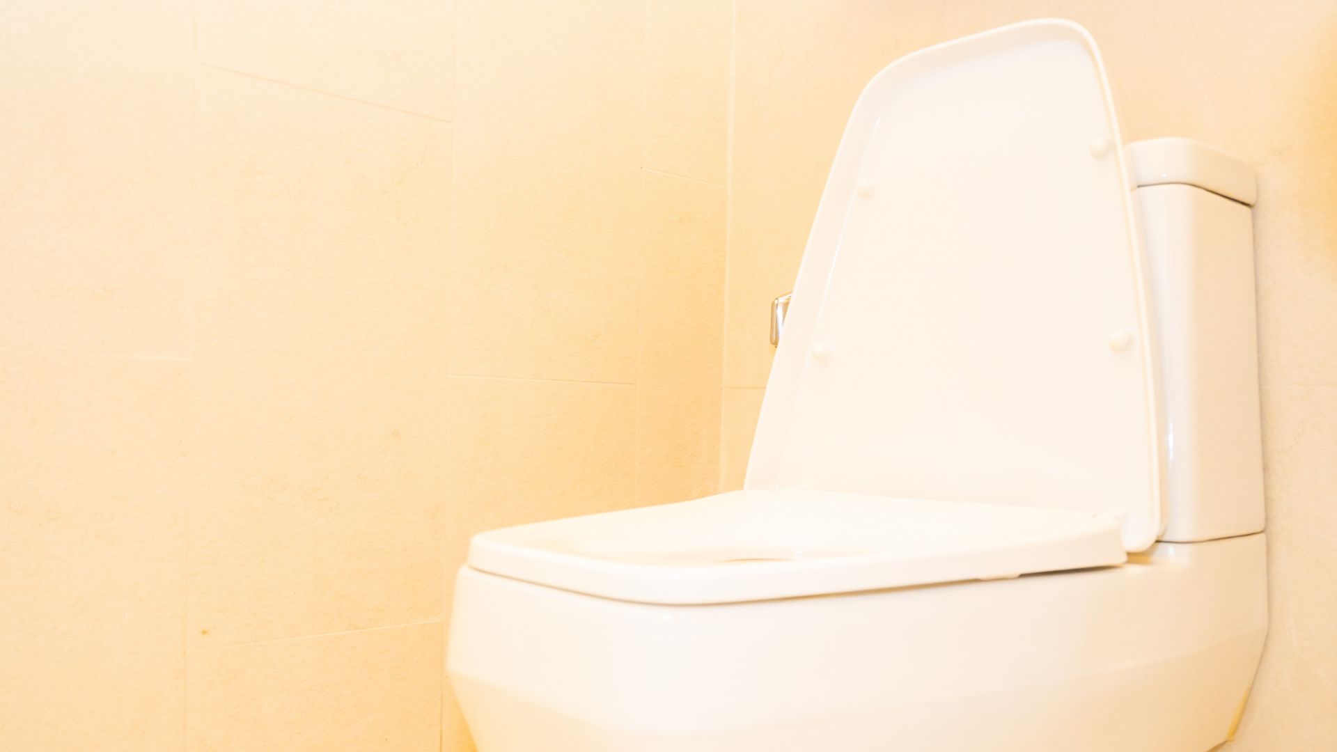 cara menghilangkan kerak kuning di toilet