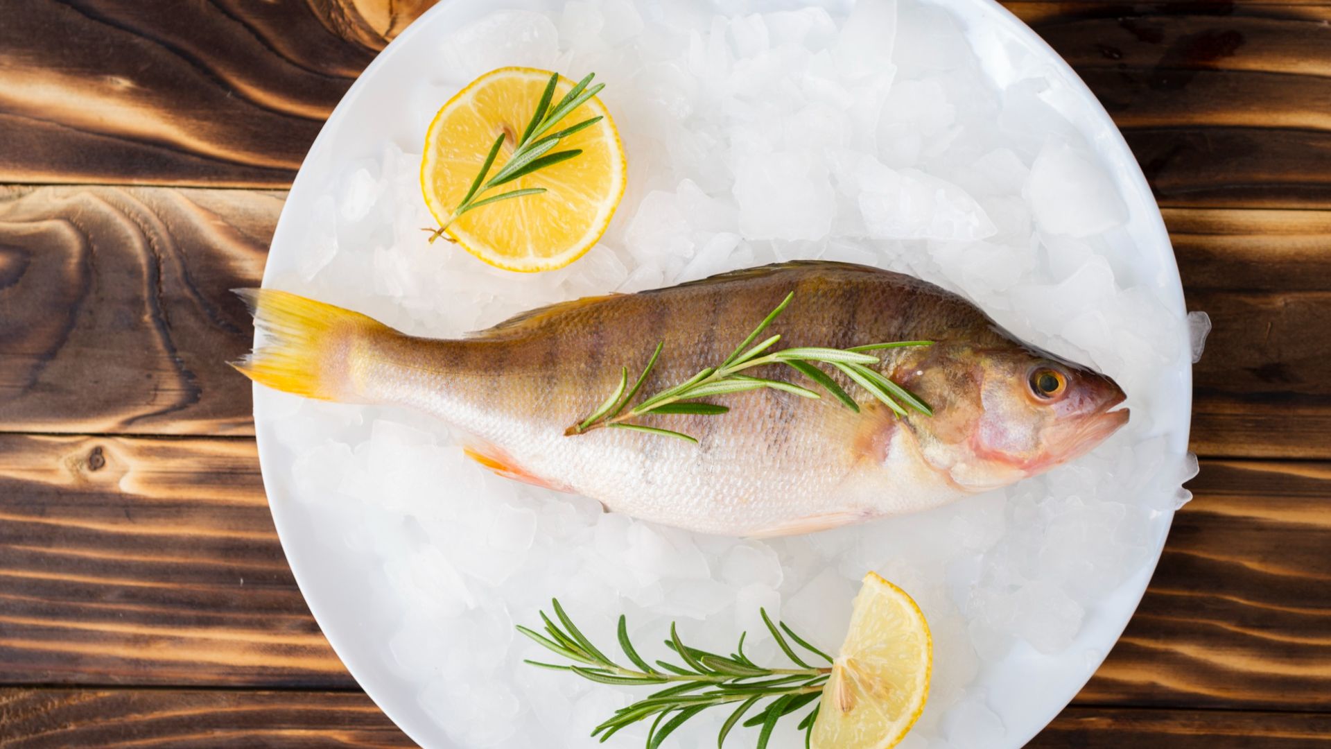 Cara Menghilangkan Bau Amis di Dapur Setelah Masak Ikan Tanpa Ribet